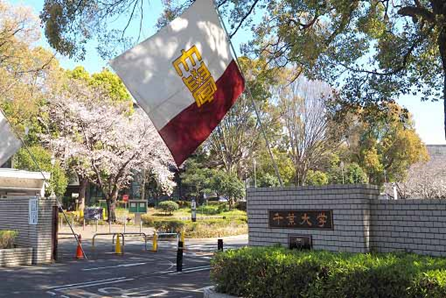 留学速报~~千叶大学教育学部/教育学研究科取消研究生的事前审查