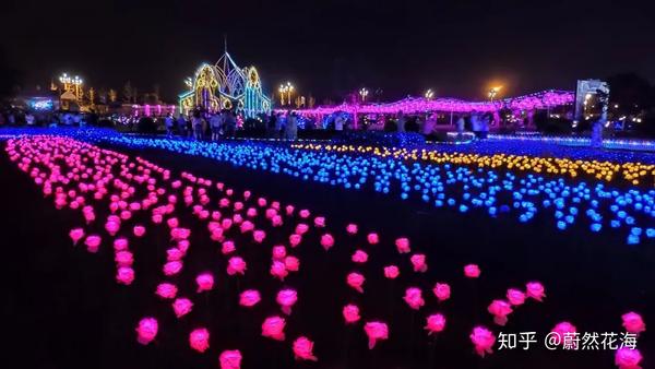 限时免门票52000㎡向日葵花海燃爆蓉城来这花海里冲浪