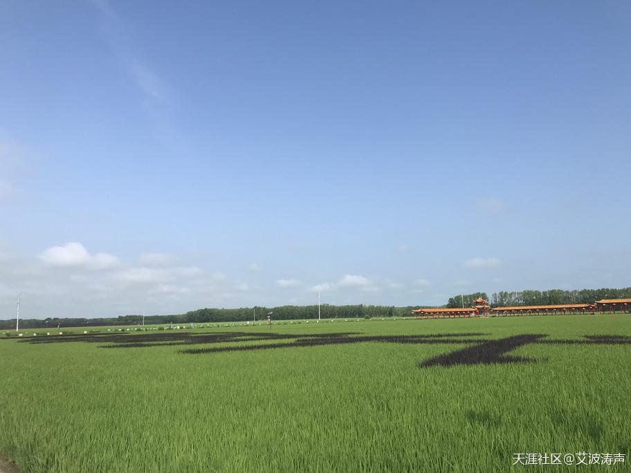 肃穆灵堂田野闺,深情悼词几许义?或许缘分大地馈,人类生存赖汝矣!