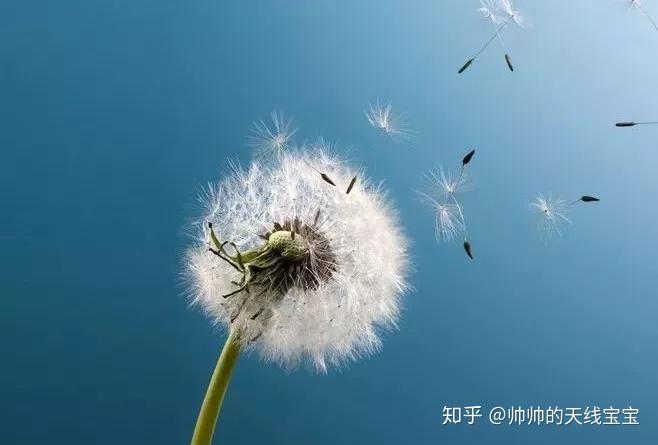 人生两个好:身体好,心情好!