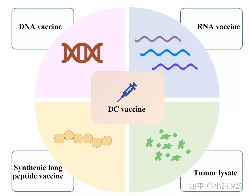 个性化新抗原DC疫苗 知乎