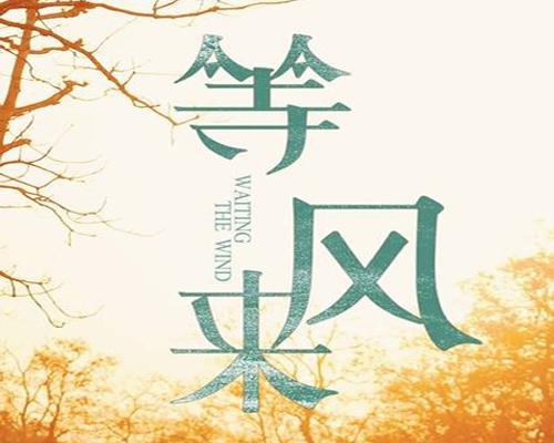 考研需要报班吗一起看看复旦大学412分学姐考研经验等风来