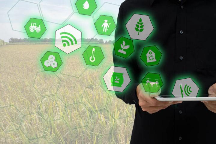 从以往以经验为依据进行农业行动到现在以信息技术作为基础进行农