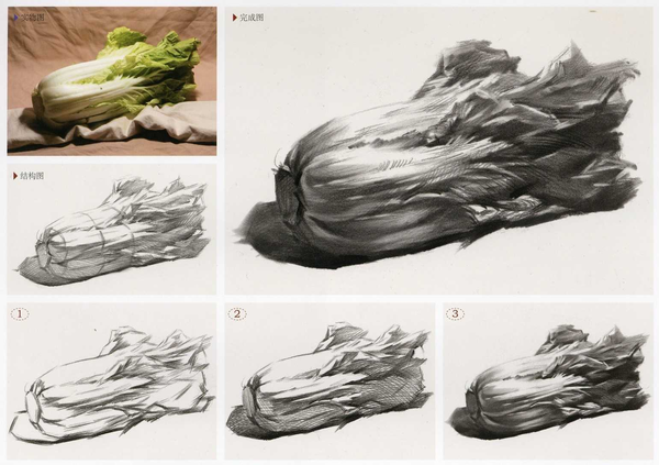 静物素描蔬菜篇之大白菜画法及步骤讲解