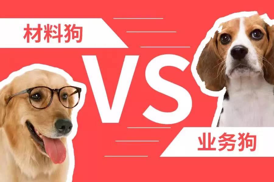 业务狗如何弯道超车材料狗