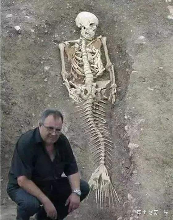 最近也发现了美人鱼的尸体和化石,百度一下都能看到,只不过现在的人都