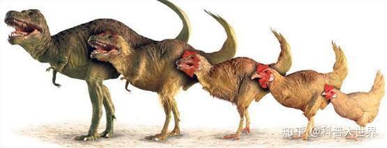 都说鸟类是恐龙进化的,巨型恐龙怎么会变成小鸟?变小也是进化吗
