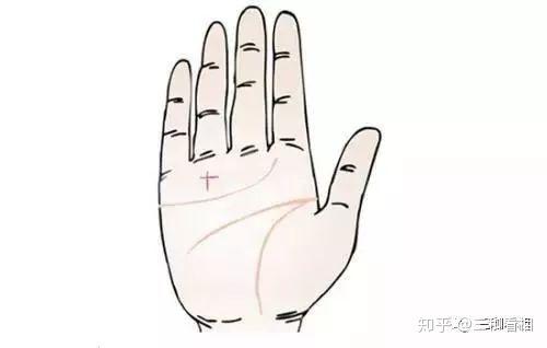 手相好坏都会关系着你的将来,"六花纹" 标志着幸福吉祥 好运不断
