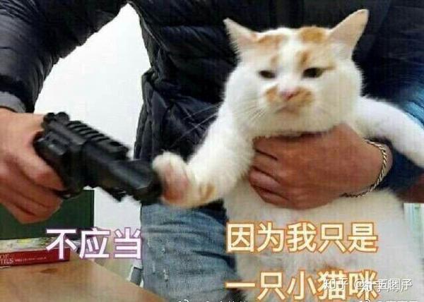 晒一张你觉得最搞笑的表情包?
