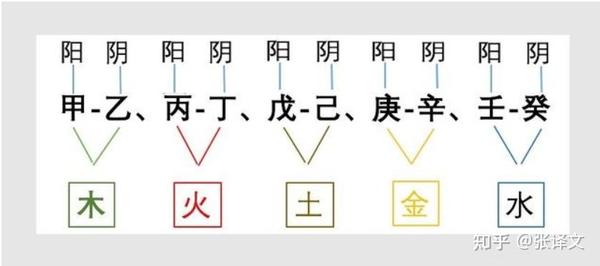 人体就有天癸了,这个癸,甲乙丙丁戊己庚辛壬癸,十个天干,两个天干一组