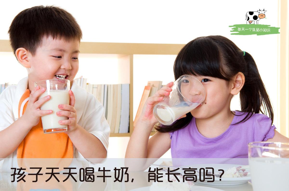 孩子天天坚持喝牛奶能长高吗