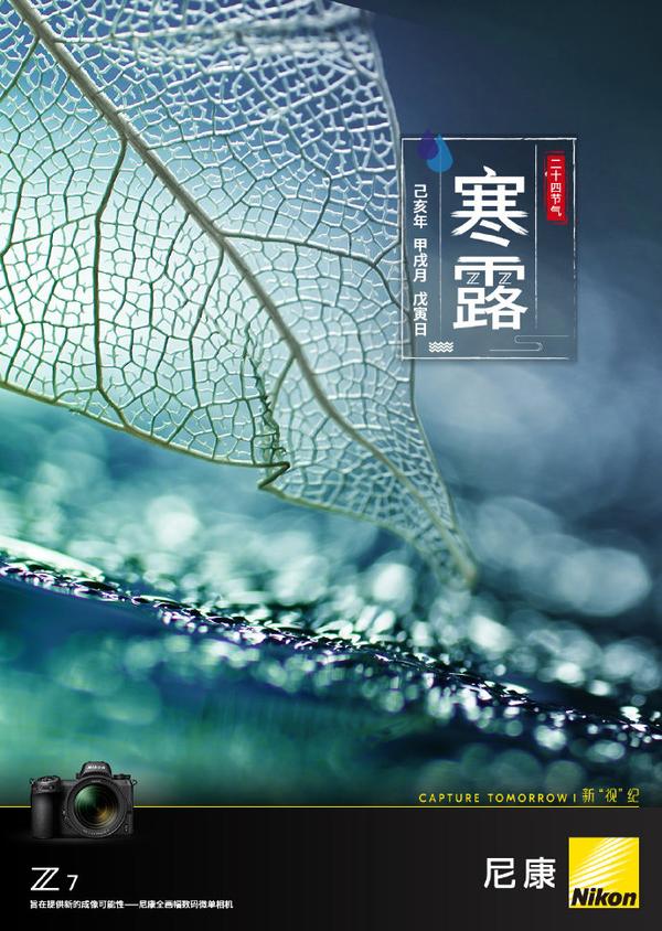 杜蕾斯小米京东洽洽等品牌寒露节气海报曝光