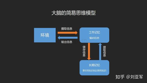 在讲这个话题前,我要先分享一下,大脑的思维模型以便大家知道原理.