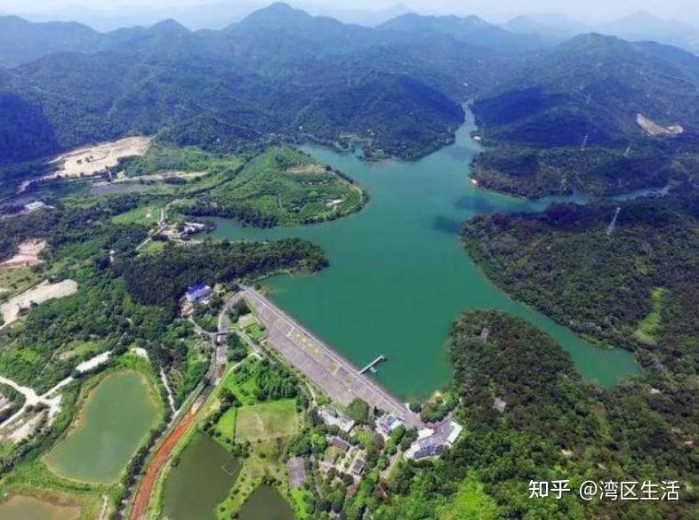 粤港澳大湾区 中山景点丨广东中山国家森林公园 - 旅游 大湾网湾区