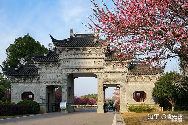 遗爱湖梅园(3)