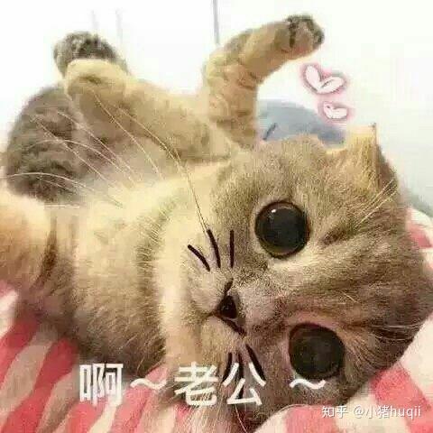 有什么适用于和老公/男票撒娇的可爱表情包?