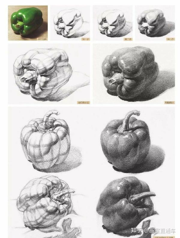 静物素描——辣椒学习素描通常从单个物体开始,常见的