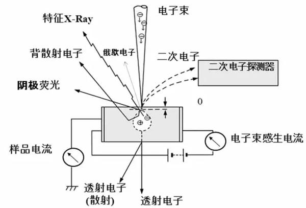 扫描电子显微镜的基本原理之试样