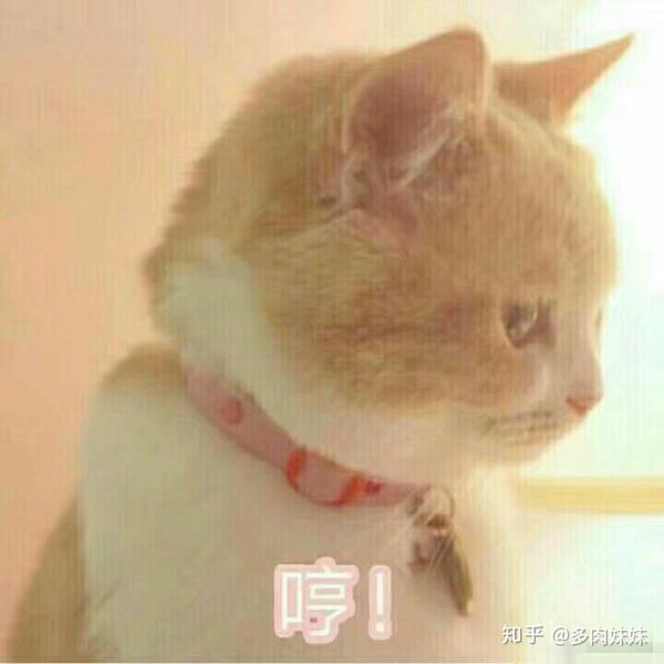 有什么适用于和老公/男票撒娇的可爱表情包?