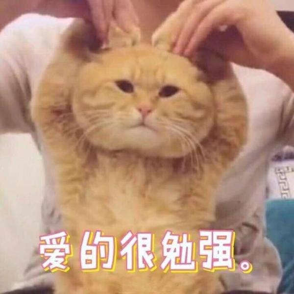 萌宠表情包来袭,快来收图,是谁掐住了我命运的后颈皮