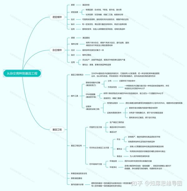 高中生物必修二思维导图从杂交育种到基因工程