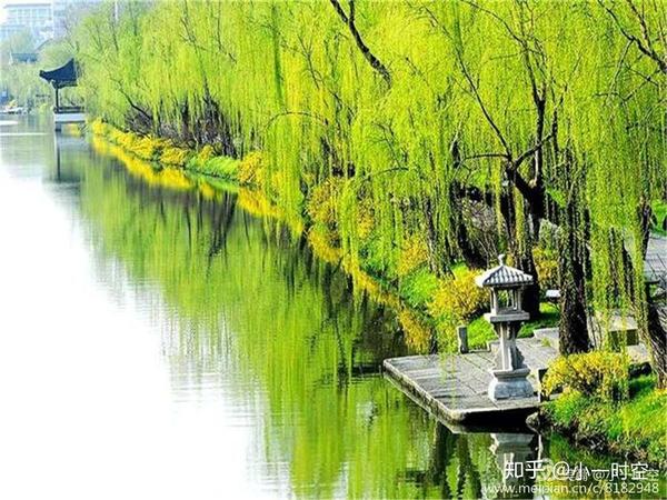 《村居 清·高鼎 草长莺飞二月天,拂堤杨柳醉春烟.