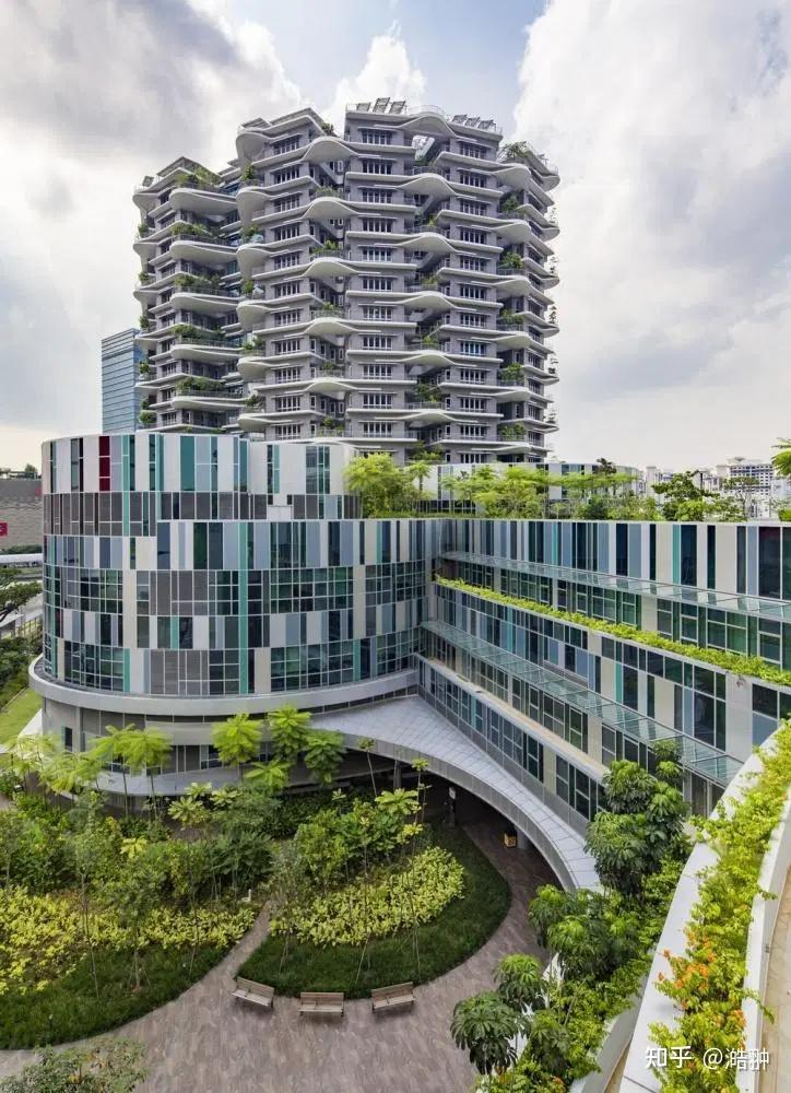 一床一窗！快看新加坡这家医院的医养融合新模式