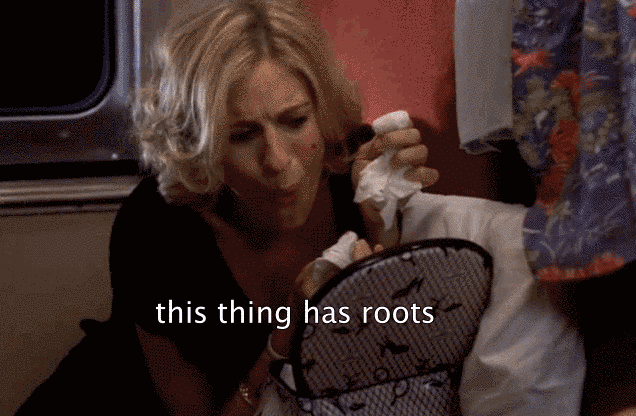 636_416gif 动态图 动图