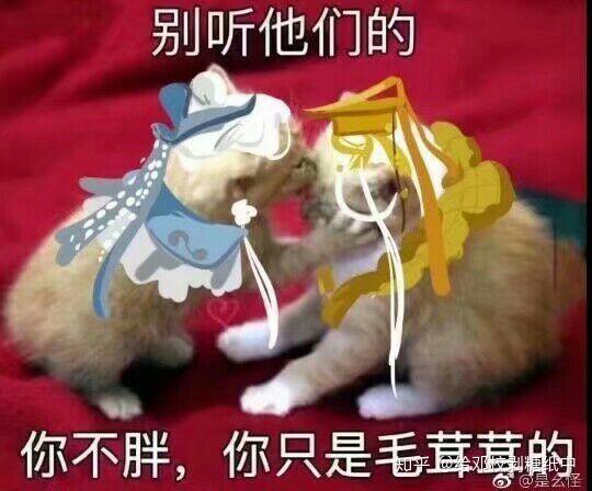你爱的霹雳/金光布袋戏沙雕表情包?