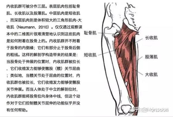 "冲刺跑导致左大腿内侧肌肉拉伤"我是这样恢复的
