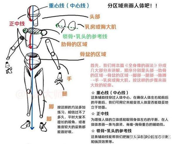 「推荐」2000字超详细教你如何画人体!闲着也是闲着,学起