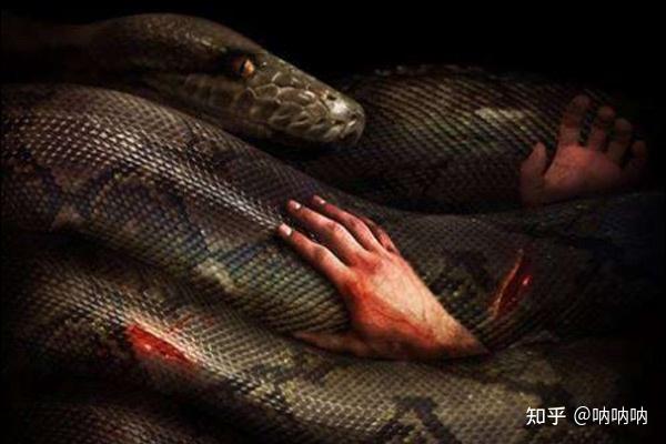 关于蟒蛇的恐怖电影,十部最经典最好看的蟒蛇电影