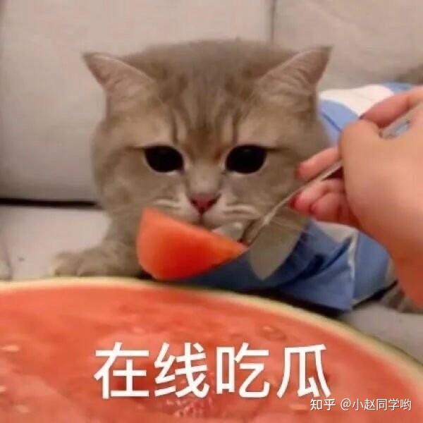 哈哈哈哈吃瓜表情包太好笑了,你吃瓜了吗? - 知乎