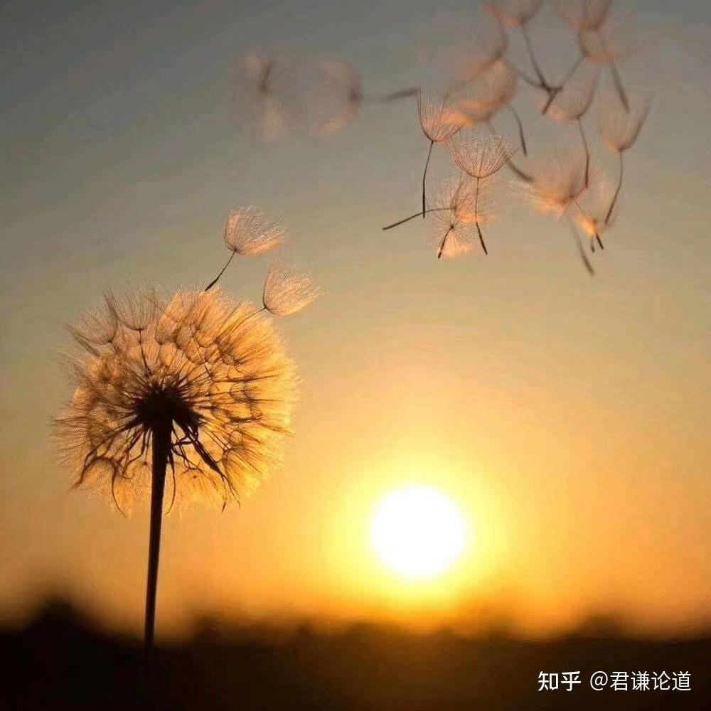 给自己加油打气的经典句子