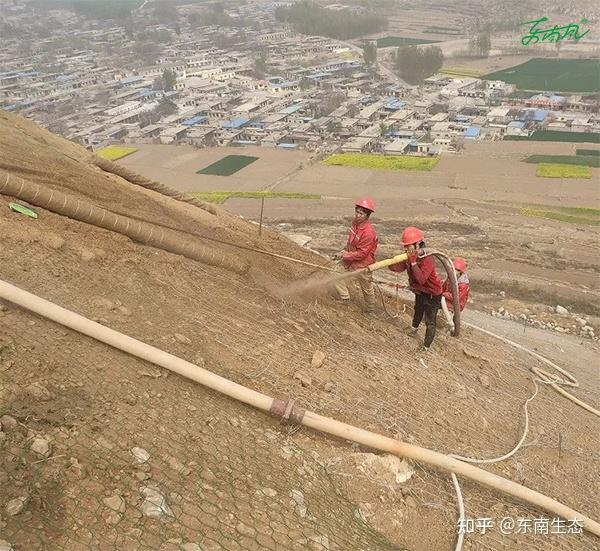 矿区边坡绿化客土喷播技术要点