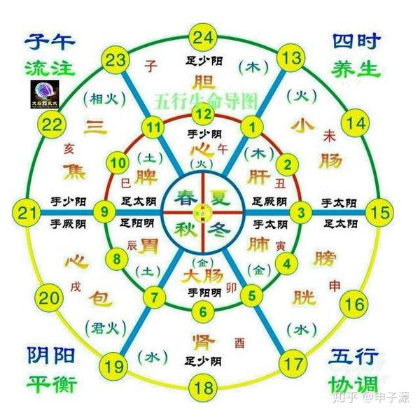 讨论十二地支(十二消息卦)对应十二经络的可能情况