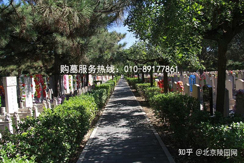 北京市朝阳区朝阳陵园墓地续费的价格介绍