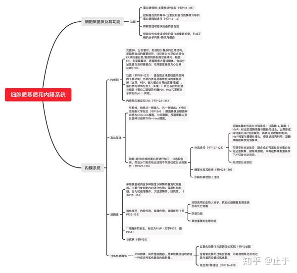 细胞生物学思维导图(其一)