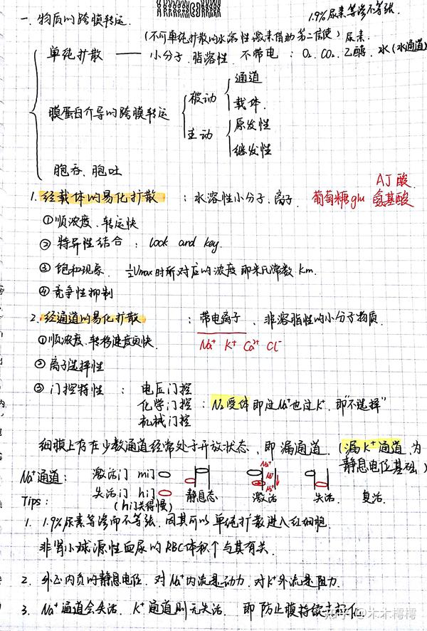 继发性主动转运