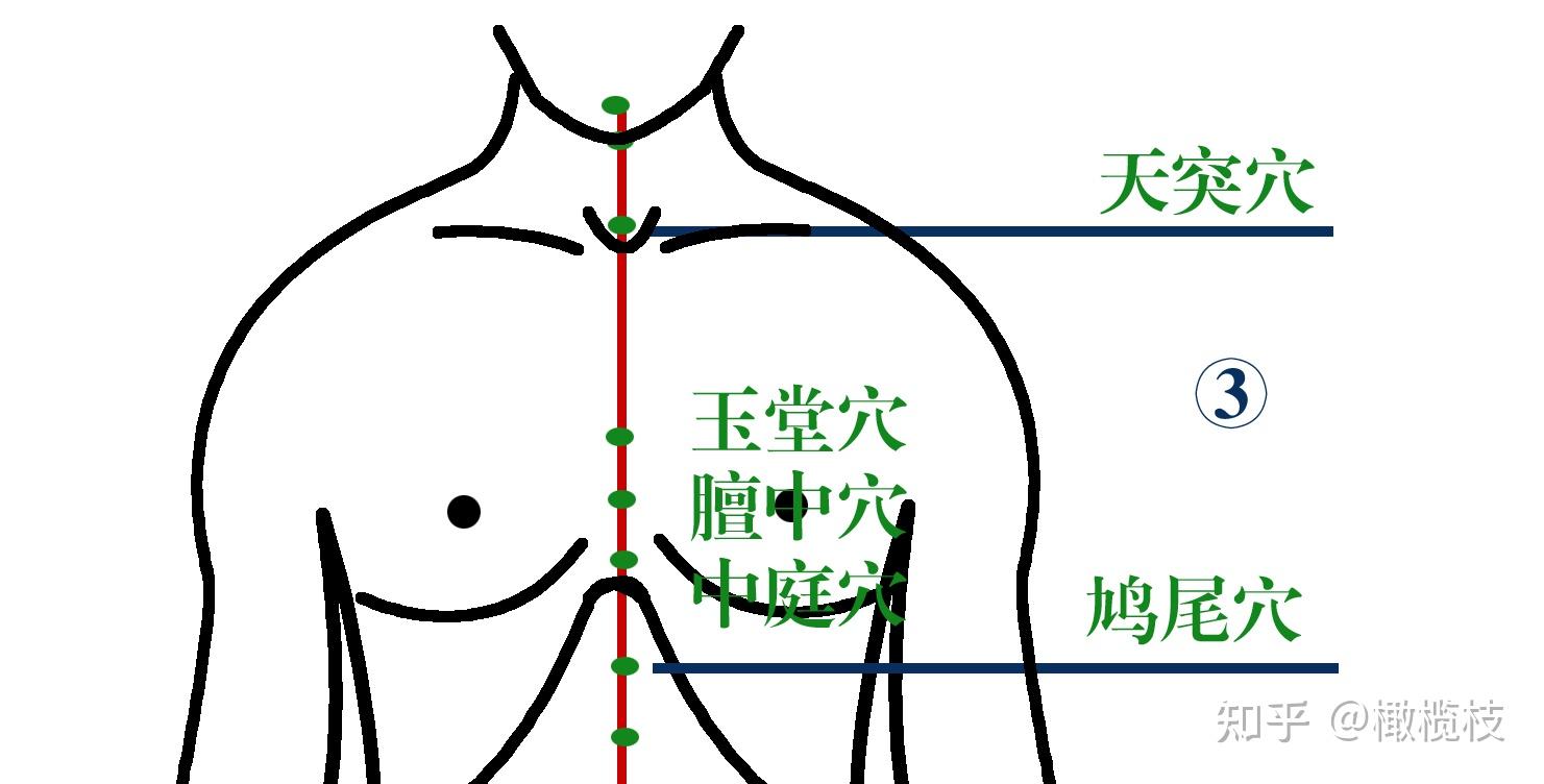 玉堂穴跟鸠尾穴中间的穴位为膻中穴,膻中穴为心包经的募穴,也是会穴