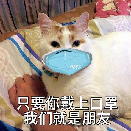 表情包:新型冠状病毒?我想见我对象,我要出去玩