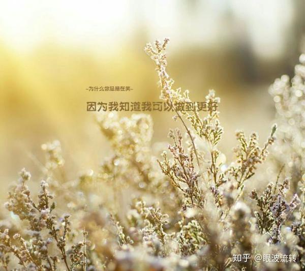 祝安好