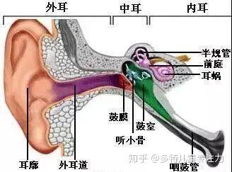 推荐5个前庭觉训练小游戏.