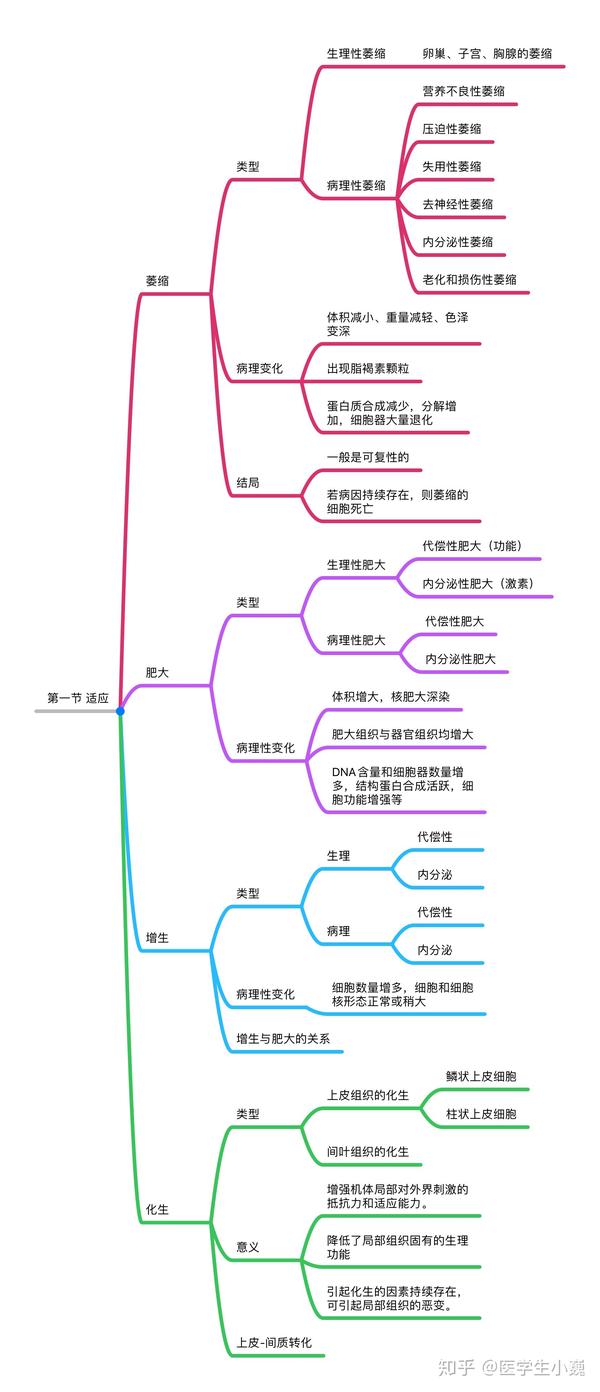 病理学第一章细胞和组织的适应和损伤