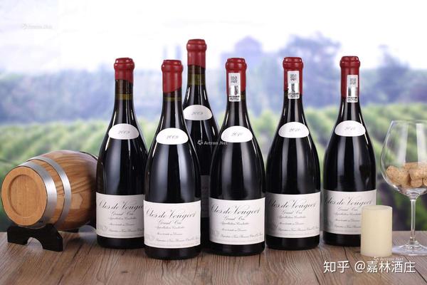 勒桦酒庄domaine leroy 勃艮第顶级酒庄