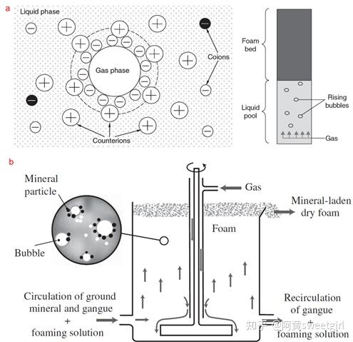 3(b)泡沫的矿物吸附原理及过程64