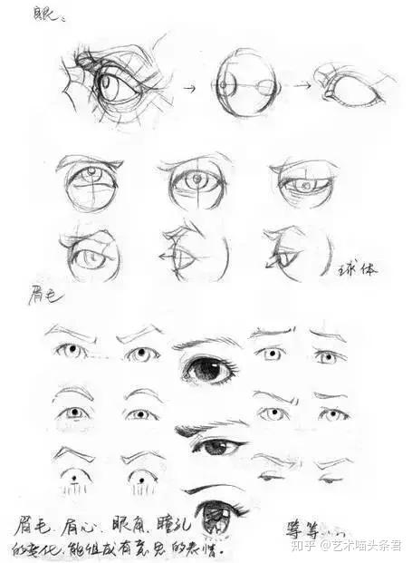 眼.掌握眼部的结构透视,尝试不同的练习.