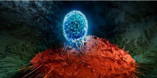 过渡性t细胞可以帮助改善癌症免疫治疗