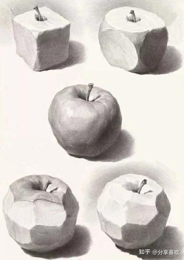 苹果解剖图