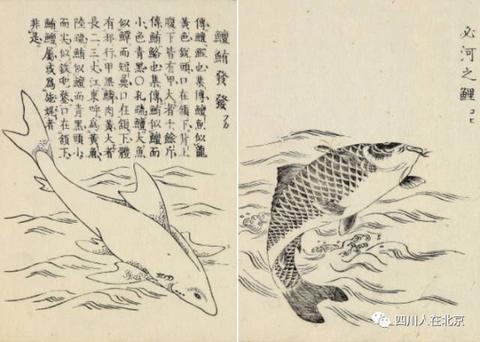 《山海经·海内东经》异域邦国奇兽【古今对照】整理